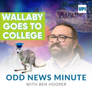 Odds and Ends: Wallaby's college visit, mysterious barge