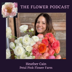 Heather Cain: Family Life, Italian Ranunculus, and Petal Pink Flower Farm