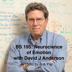 BS 195 Neuroscience of Emotion with David Anderson