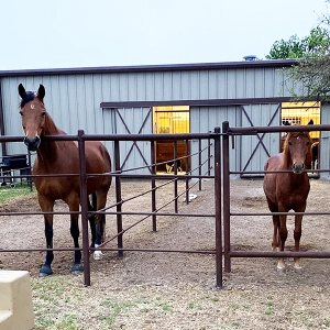 EP 90: Texas Horsekeeping with Tara Tibbetts