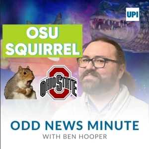 Odds and Ends: OSU squirrel, Rubik's cubes on a pogo stick