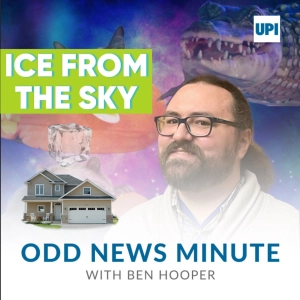 Ice crashes through roof, world's oldest chicken