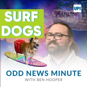 World Dog Surfing Championships, horse hoisted by helicopter