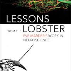 BS 147: Eve Marder's Life in Neuroscience