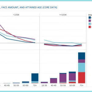 2019 Individual Life Insurance Mortality Experience Report