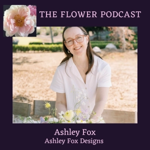 Finding Your MVP with Ashley Fox of Ashley Fox Designs