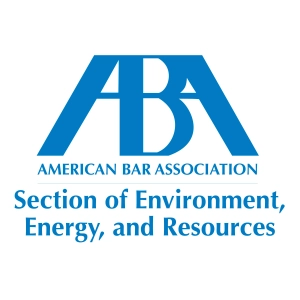 EPA National Enforcement Initiative