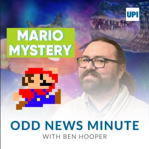 Nintendo game discovery is a Mario mystery, kitten gets stuck