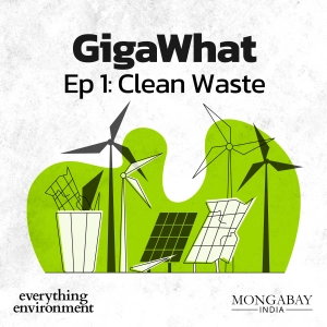 GigaWhat: Clean Waste
