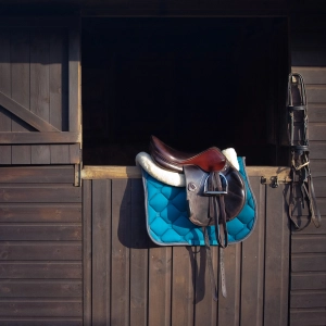 EP 77: Changes at Stall and Stable