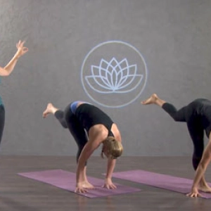 Episode 105: Quick Energy Flow