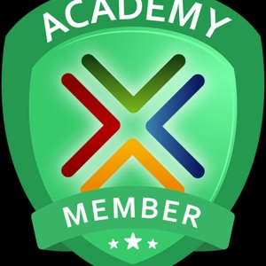 021: The MyExcelOnline Academy Online Excel Course