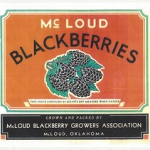 The McLoud Blackberry Festival:  A Taste of Oklahoma History