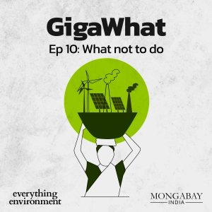 GigaWhat: What not to do