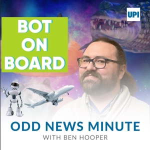 Robot passenger delays flight, cat vs. coyote