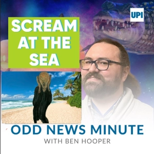 'Guttural Scream at the Sea,' bat takes the train