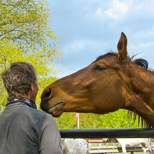 EP 60: Horse Personalities and the Horse/Human Bond