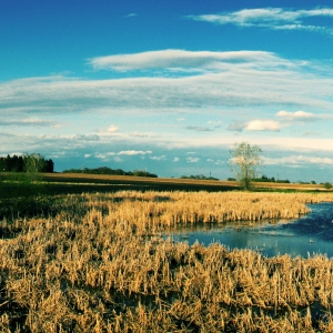 Ep. 7: POTUS versus WOTUS