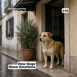 #370 How Dogs Communicate Emotions Without Words