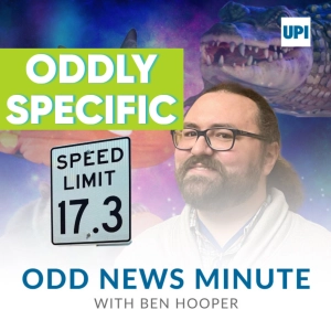 Speed limit 17.3 mph, squirrels in a car engine