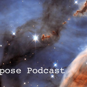 012 - warp'd inspirations