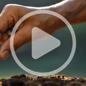 Sourcing Sustainable Seeds