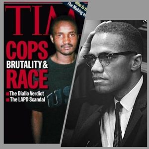 S6 E2: Cops Brutality towards African Americans: A problem for Africans?