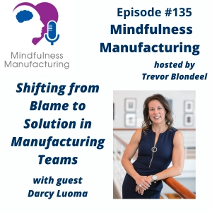 Problem-Solving Leadership in Manufacturing for Plant Leaders: Shifting from Blame to Solutions with Darcy Luoma #135