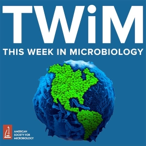 353: Microbial Metabolism of Food Allergens