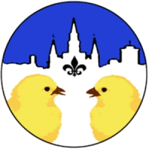 EP 253 - Two Chicks Walking Tours