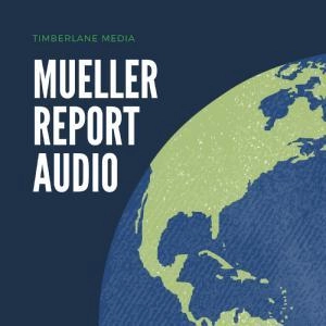 II. Factual Results of the Obstruction Investigation (Mueller Report, Nov. 2020 update)