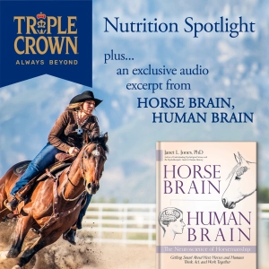 EP 139: Horse Brains and Bellies