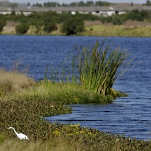 What's at Stake Under the New Trump Water Rule