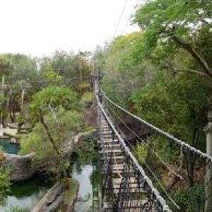 "The Dubs" Disney & Travel Podcast #493 - 1 Day Solo Trip ideas at Walt Disney World