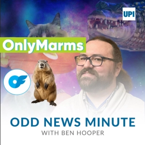 Marmots on OnlyFans, fish stick eating world record