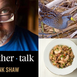 All About Rail Birds