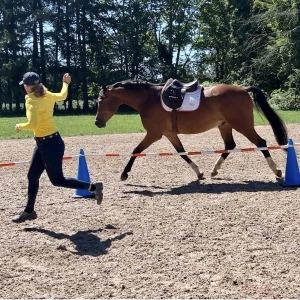 EP 106: Raising Horses in an R+ Environment