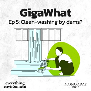 GigaWhat: Clean-washing by dams?