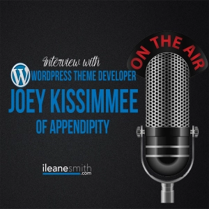 Interview with Joey Kissimmee of Appendipity Themes
