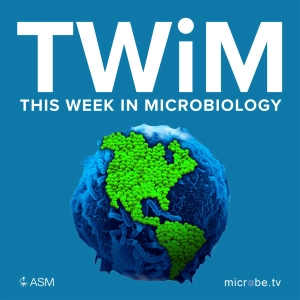 361: Bacteria and Colon Cancer Recurrence