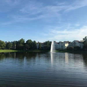 The Dubs #417 - Disney's Saratoga Springs Resort and Disney Vacation Club update with Scott Ferraioli