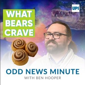 Odds and Ends: Bear's attempted break-in, world's strongest hair