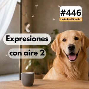 #446 Expresiones con aire 2