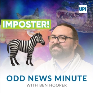 Odds and Ends: Fake zebra, high-altitude Rubik's cube