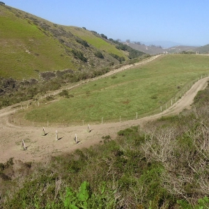 EP 54: A New(ish) Kind of Turnout for Healthy Hooves