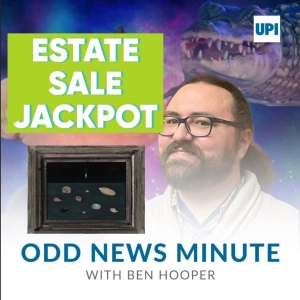 Odds and Ends: Epic estate sale find, chimpanzees escape