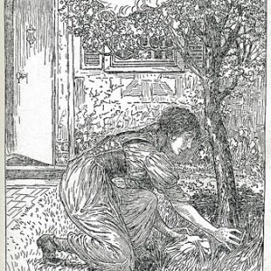 The Juniper Tree