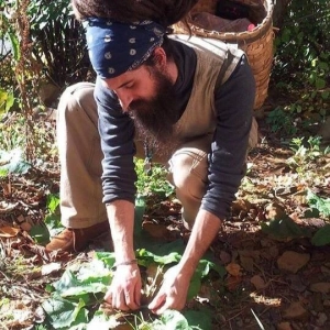 Dan De Lion: How to Heal the Human Microbiome with Fermented Foods and Traditional Herbalism | Ep.008