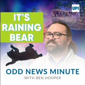 Bear falls from tree, Mr. Potato Head speed record