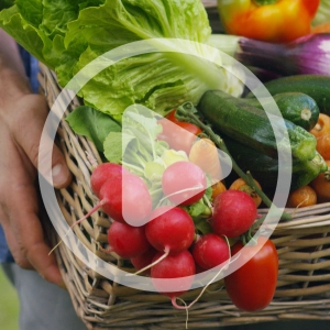Exploring Microfarms with Jean-Martin Fortier
